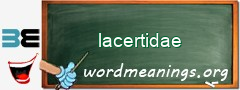 WordMeaning blackboard for lacertidae